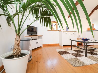 A room with a potted palm plant a TV on a white stand a rug and a glass coffee table at Lower Rissick Cottage in Sennen