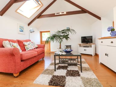 A living room with a red sofa a glass coffee table a patterned rug a potted plant a television and wooden beams on the ceiling at Lower Rissick Cottage in Sennen