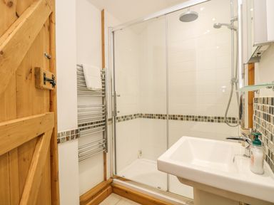 A bathroom with a walk-in shower a white sink a heated towel rail and a wooden door at Barneys Barn in Sennen