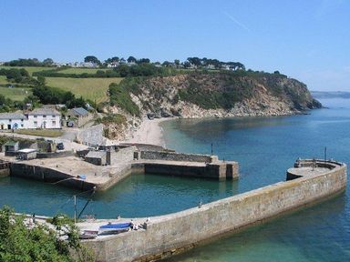 A small harbor with stone piers and boats near a rocky coastline with houses and fields at Speedwell in Charlestown