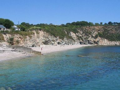 A beach with clear water cliffs and vegetation at Speedwell in Charlestown