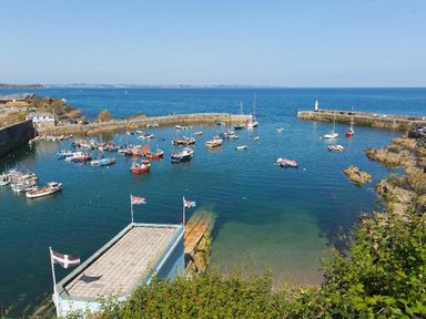 A harbor with multiple small boats floating in water and a building with flags at Speedwell in Charlestown