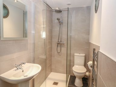 A bathroom with a shower, toilet, sink, mirror, and towel radiator at Speedwell in Charlestown