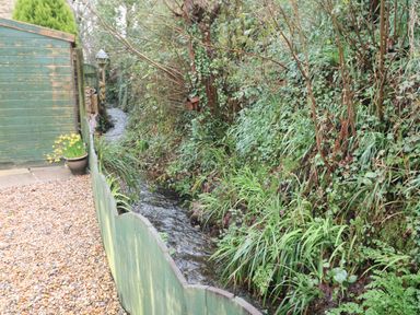 A garden area with gravel ground a small wooden shed green fence and a narrow stream with plants alongside at Speedwell in Charlestown