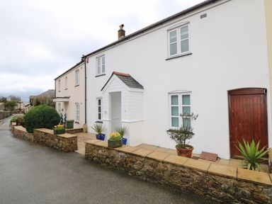 A white terrace house with a wooden front door and small porch with potted plants outside at Speedwell in Charlestown