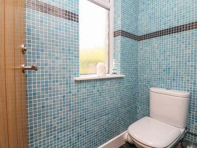 A bathroom with a white toilet and blue tiled walls with a window shelf holding toilet paper and a sanitizer bottle at Nairn in Braunton