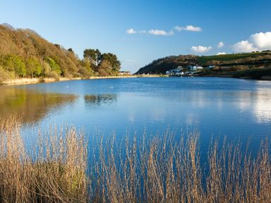 A body of water surrounded by trees and grass with houses on a hill at Hazel Barn in Falmouth