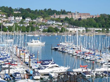 A marina with many boats docked and buildings on a hillside in the background at Bight Boathouse in Dartmouth