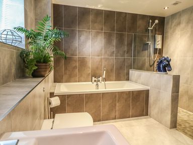 A bathroom with a bathtub toilet a potted plant and a shower at Lake View in Kingsand and Cawsand
