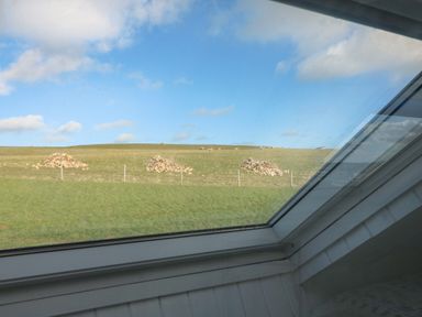 A view of grassy fields with piles of rocks and grazing sheep seen through a slanted window at Gwillen in Mawgan Porth