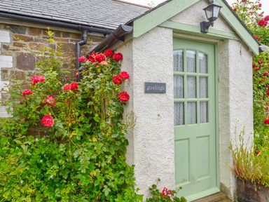 A garden entrance with red roses and green door at Goslings in Bradford Holsworthy