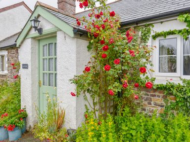 A small cottage entrance with a pale green door surrounded by red climbing roses and green plants at Goslings Bradford Holsworthy