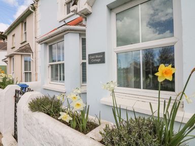 The exterior of a light blue cottage with a flower bed in front of the windows at Cool Stone Cottage Instow near Bideford