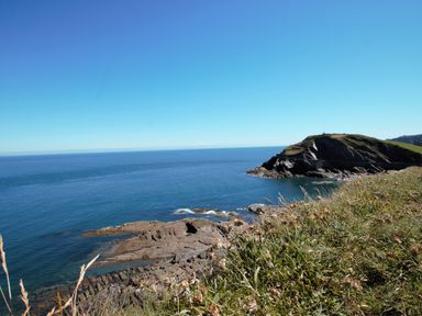 A rocky coastline with grassy cliffs and the sea under a clear blue sky at Ocean Breeze in Ilfracombe