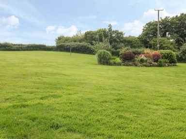 A grassy field with bushes and a small flower bed with a utility pole in the background at The Hayloft in St Neot near Dobwalls