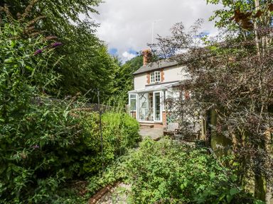 A garden with dense green plants and a small house with a conservatory in the background at Blenheim Edge The Causeway Woodstock