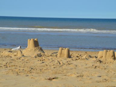 A sandy beach with three sandcastles near the shoreline and a bird standing on the sand at 21 Siesta Mar in Mundesley