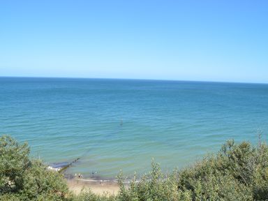 A beach with people near the water and bushes in the foreground at 21 Siesta Mar in Mundesley