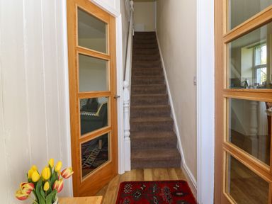 A narrow hallway with carpeted stairs a red rug wooden doors with glass panels and a vase of yellow tulips on a table at Ty Mawr in Llanddaniel Fab