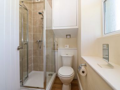 A small bathroom with a shower enclosure and toilet next to a window at Ty Mawr in Llanddaniel Fab