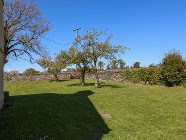 A garden with grass trees a stone wall and a bench at Ty Mawr in Llanddaniel Fab