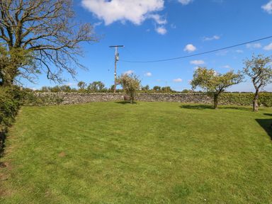 A grassy yard with a few trees and a stone wall under a blue sky at Ty Mawr in Llanddaniel Fab