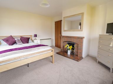 A bedroom with a wooden bed with purple cushions a brick fireplace with flowers a mirror a chest of drawers and a small TV at The Alders in Llanfyllin