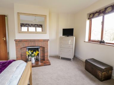 A bedroom with a bed a fireplace with flowers a chest of drawers with a television and a window at The Alders in Llanfyllin