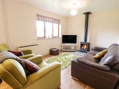 A living room with green armchairs a brown leather sofa a wood stove and a tv at The Alders in Llanfyllin