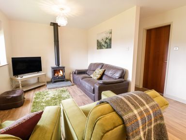 A living room with a wood-burning stove leather sofa green armchairs and a TV at The Alders in Llanfyllin
