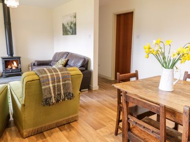 A living room with green armchairs and a wood burning stove and wooden dining table with flowers at The Alders in Llanfyllin
