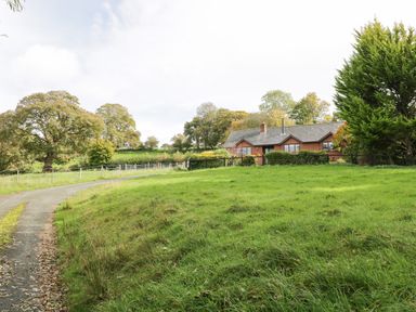 A house with a driveway and grassy area surrounded by trees at The Alders in Llanfyllin