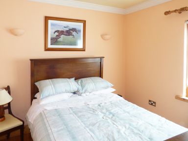 A bedroom with a wooden bed frame with bedding and a framed horse racing picture above the bed at Maifield in Carrick-On Suir County Tipperary