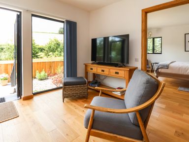 A sitting area with a wooden chair and a TV on a wooden console next to a glass door showing an outdoor garden at No1 The Lodge in Acton near Bishop's Castle