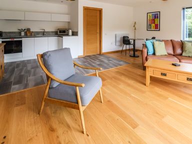 An open living space with a grey cushioned wooden armchair wooden floor a brown leather sofa with cushions a wooden coffee table a small dining table with two chairs kitchen cabinets and appliances at No1 The Lodge in Acton near Bishops Castle