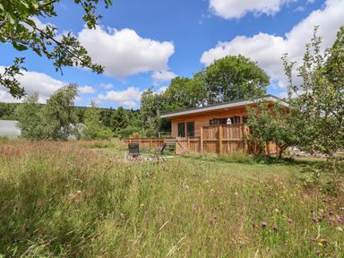 A garden with wildflowers and trees a wooden fenced house and patio chairs at No1 The Lodge in Acton near Bishop's Castle