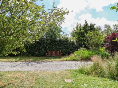 A garden with a wooden bench along a gravel path surrounded by trees and shrubs at No1 The Lodge Acton near Bishop's Castle