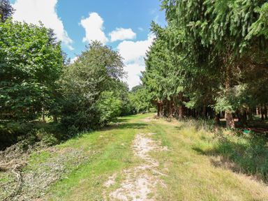 A grassy path surrounded by trees and bushes under a partly cloudy sky at No1 The Lodge in Acton near Bishops Castle
