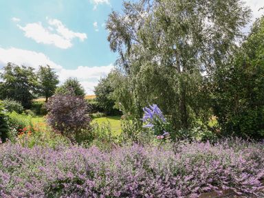A garden with purple flowers green trees and grass at No1 The Lodge in Acton near Bishops Castle