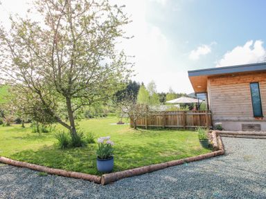 A garden area with a tree and potted plants next to a wooden building at No1 The Lodge in Acton near Bishop's Castle