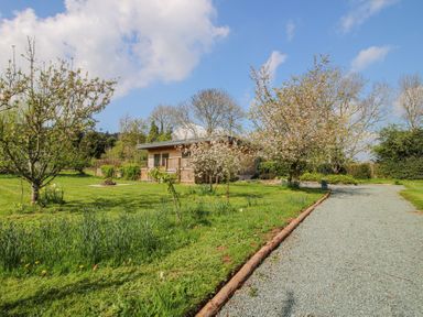 A gravel driveway leading to a wooden cabin surrounded by grassy garden and flowering trees at No1 The Lodge in Acton near Bishops Castle