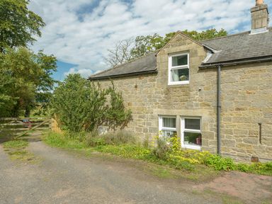 Exterior of a stone house with white-framed windows and a slate roof next to a dirt driveway and wooden gate surrounded by trees at Rose Cottage in Edlingham