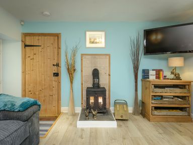 A room with a wood stove between a wooden door and a cabinet with books and a lamp at Rose Cottage in Edlingham