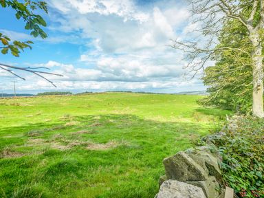 A green grassy field with trees and a stone fence under a partly cloudy sky at Rose Cottage in Edlingham