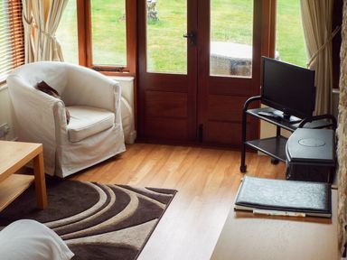 A living room with an armchair a rug and a TV on a stand at The Granary in Walford near Ross-on-Wye