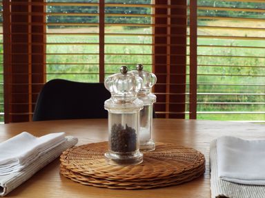 A dining table with salt and pepper shakers on a wicker placemat and folded napkins near windows with wooden blinds and a view of greenery