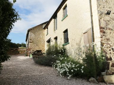 A gravel pathway along a stone and plaster house with green window frames and white flowers at Carthorse Cottage in Teignmouth