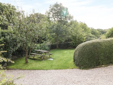 A garden with a wooden picnic table surrounded by trees and shrubs at Carthouse Cottage in Teignmouth