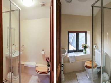 A bathroom with a shower, toilet with wooden seat, sink, window, and flowers at Carthorse Cottage in Teignmouth