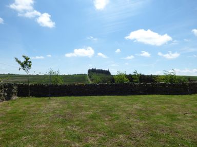 A grassy yard with small trees and a stone wall overlooking fields and a dirt road at Humbleton Cottage in Haydon Bridge near Hexham